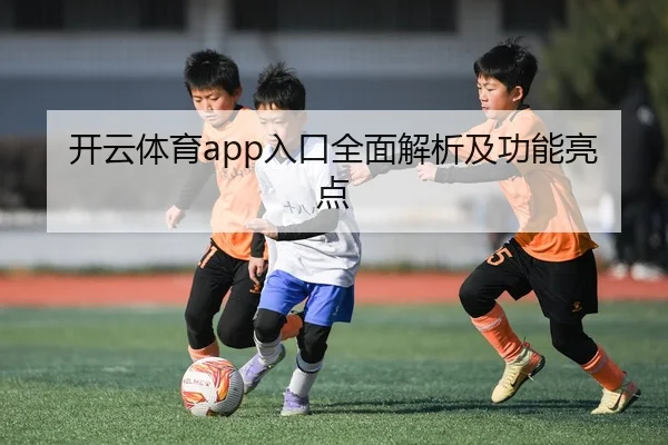 开云体育app入口全面解析及功能亮点
